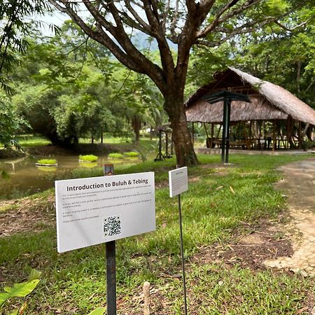 Ambong Rainforest Retreat Pantai Cenang  Luaran gambar