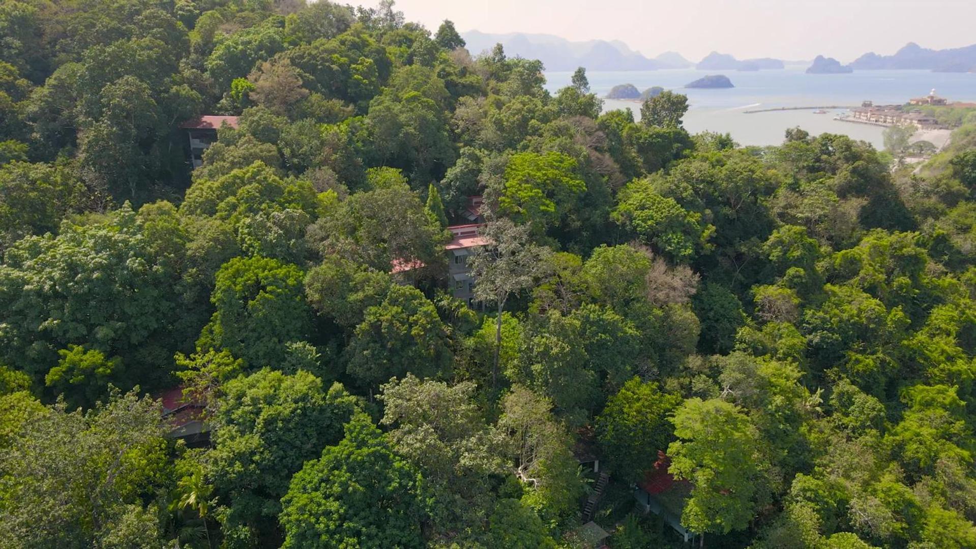 Ambong Rainforest Retreat Pantai Cenang  Luaran gambar