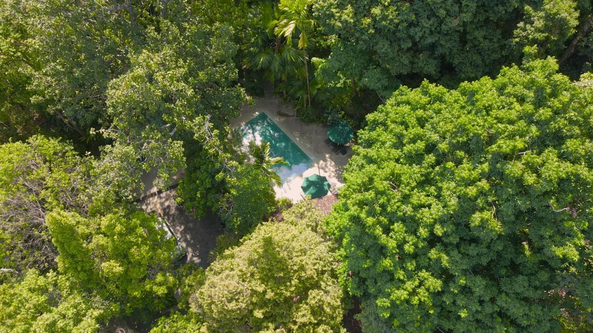 Ambong Rainforest Retreat Pantai Cenang  Luaran gambar