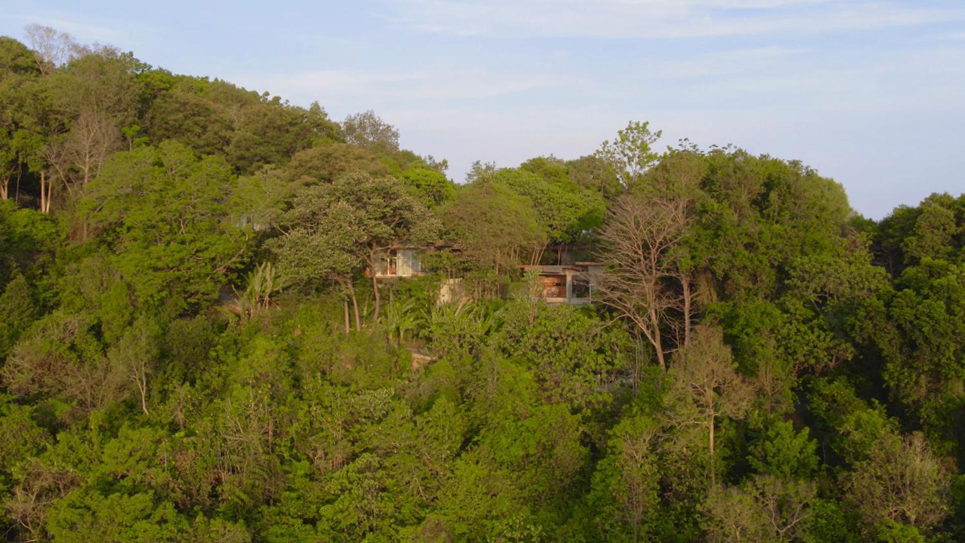 Ambong Rainforest Retreat Pantai Cenang  Luaran gambar