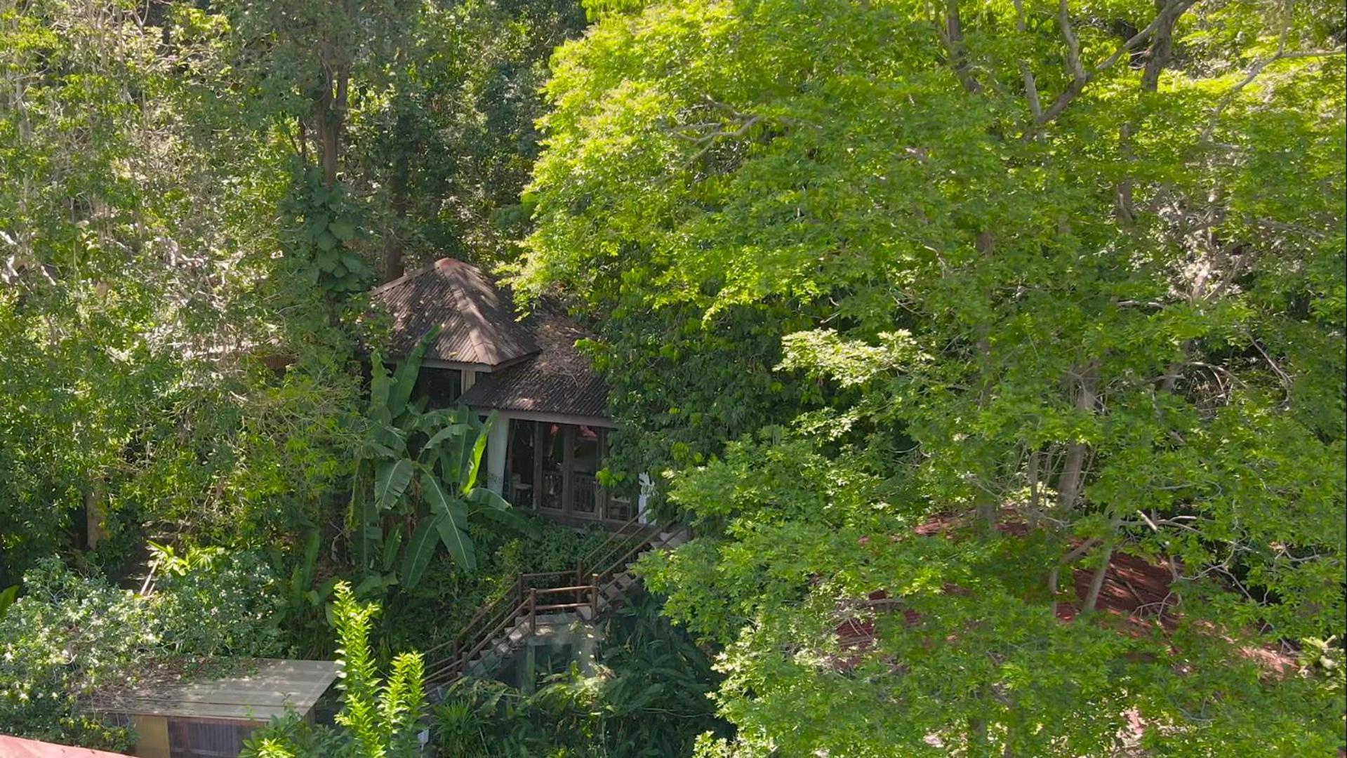 Ambong Rainforest Retreat Pantai Cenang  Luaran gambar