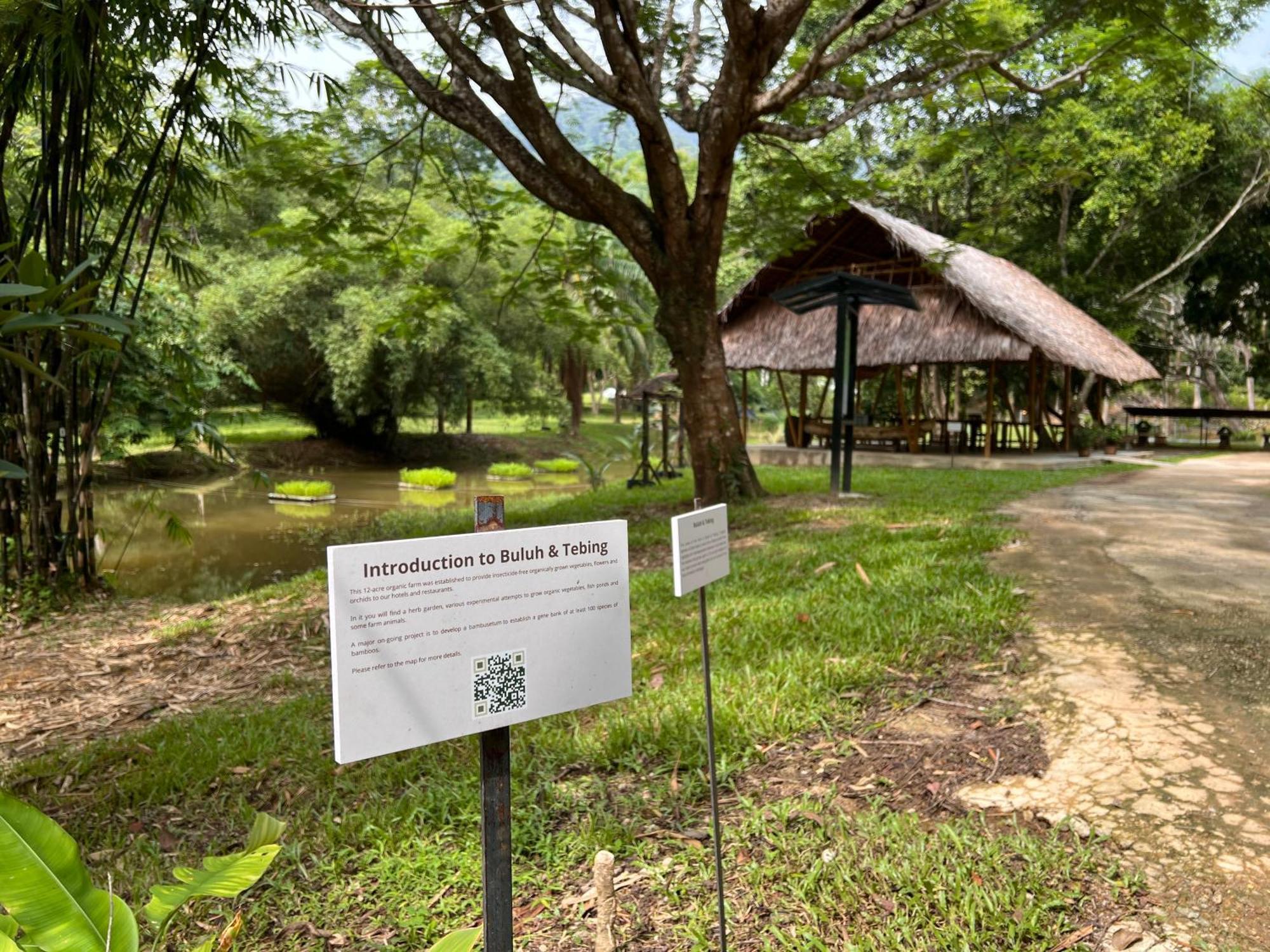Ambong Rainforest Retreat Pantai Cenang  Luaran gambar