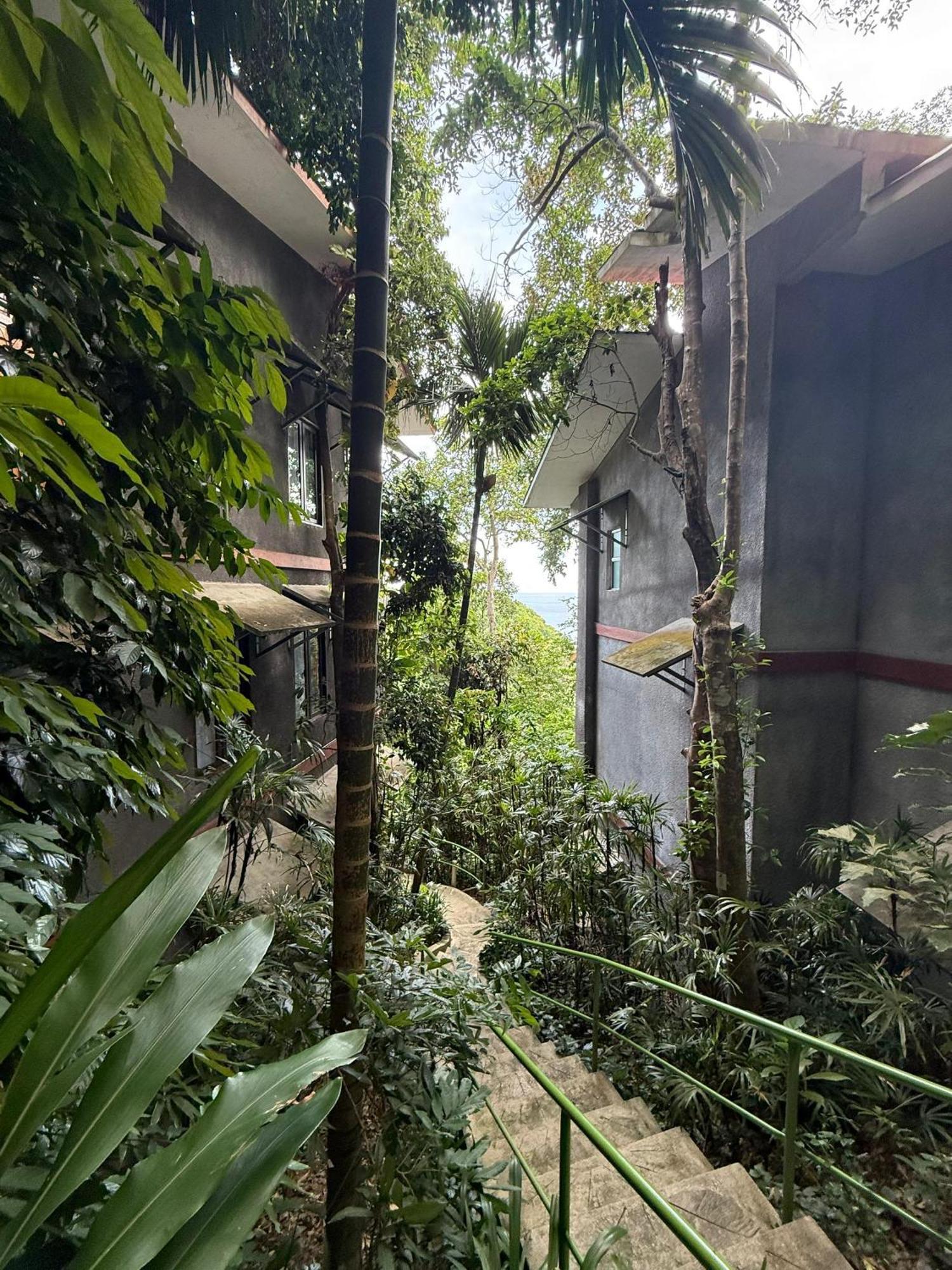 Ambong Rainforest Retreat Pantai Cenang  Luaran gambar