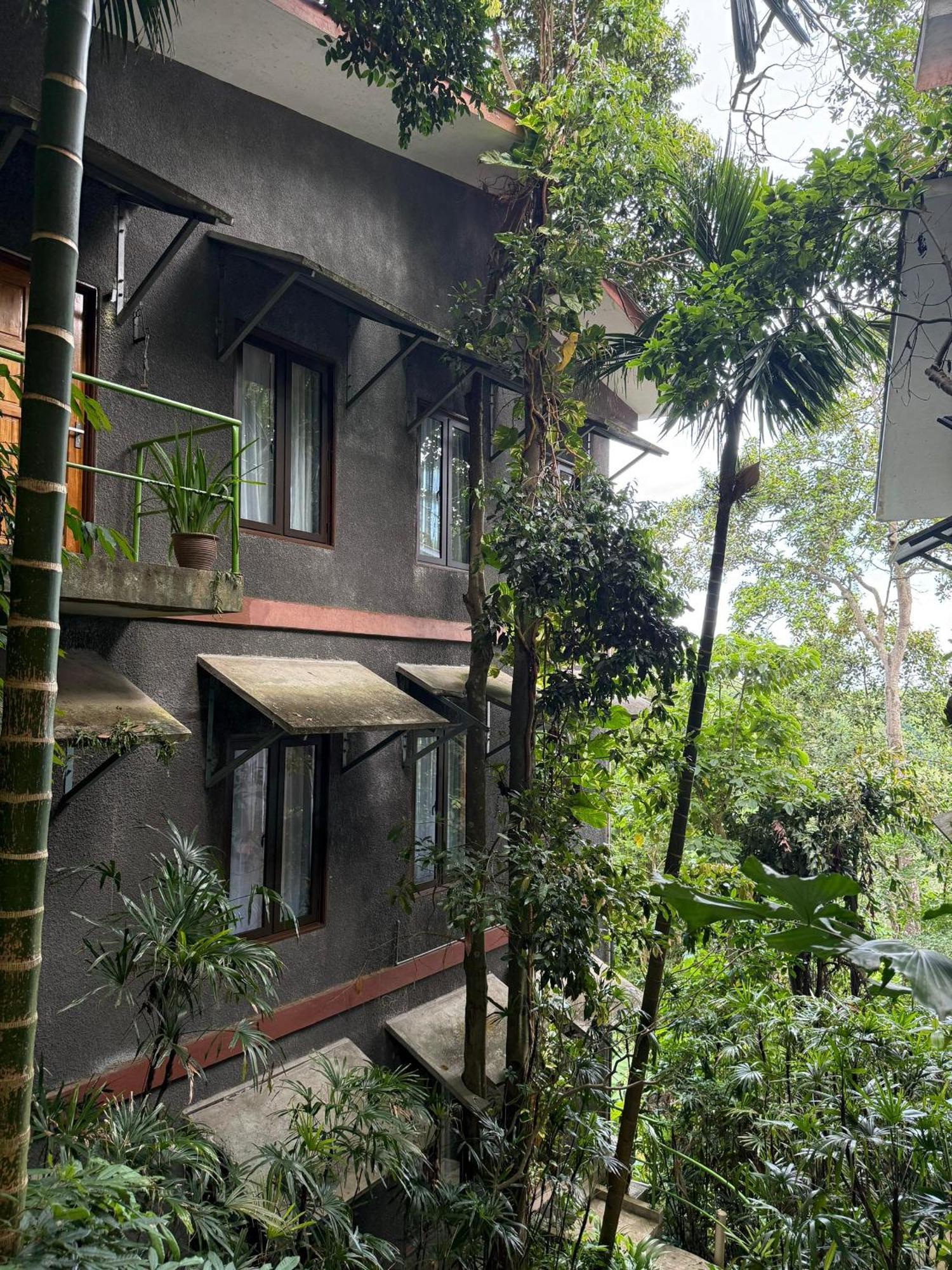 Ambong Rainforest Retreat Pantai Cenang  Luaran gambar