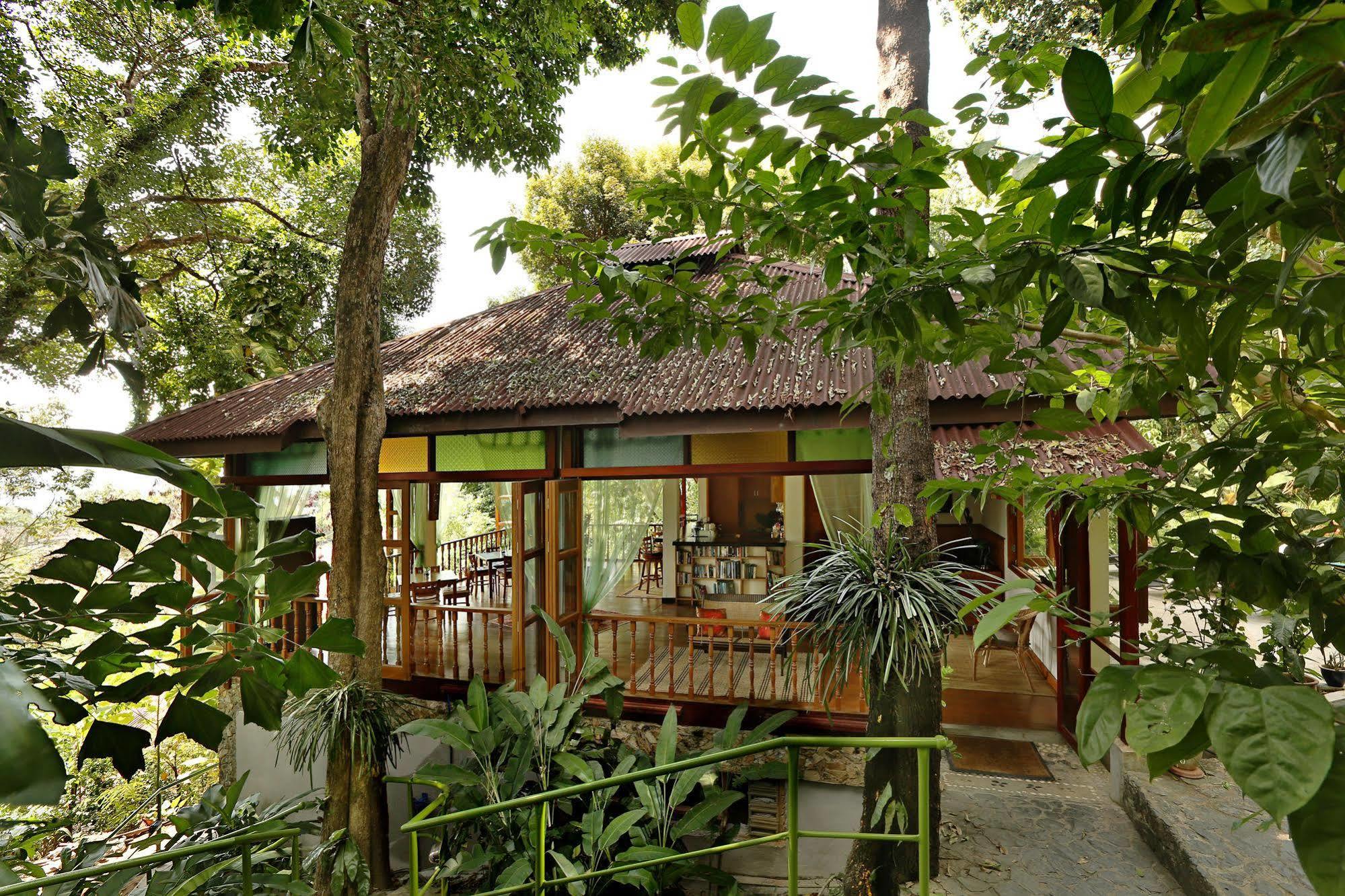 Ambong Rainforest Retreat Pantai Cenang  Luaran gambar